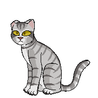 Silver Tail